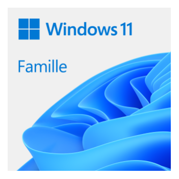 Microsoft Windows 11 Home Multi-langues ESD