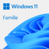 Microsoft Windows 11 Home Multi-langues ESD