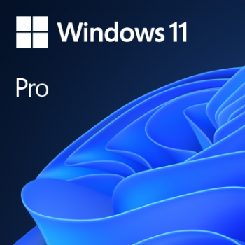 Microsoft Windows 11 Pro Multi-langues ESD