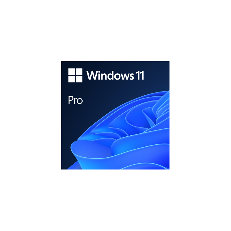 Microsoft Windows 11 Pro Multi-langues ESD