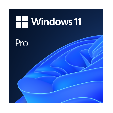 Microsoft Windows 11 Pro Multi-langues ESD